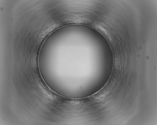 X0000088610394200706081439