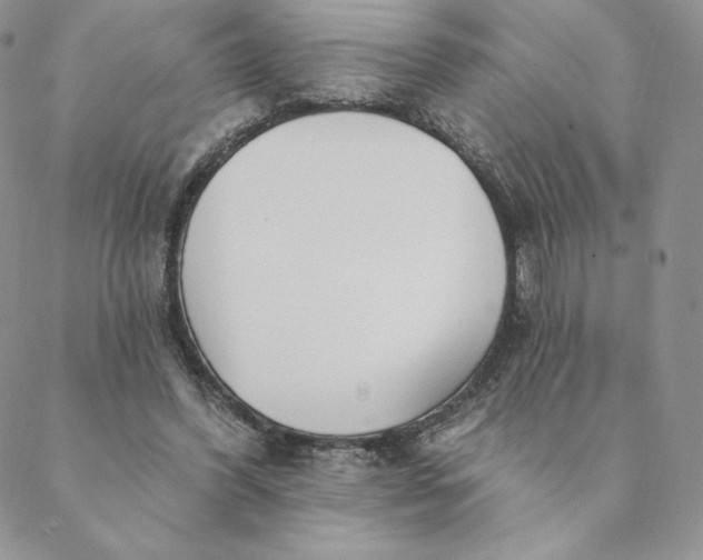 X0000088610396200706081439