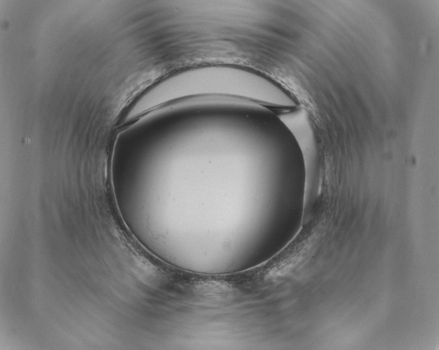 X0000088610397200706081439