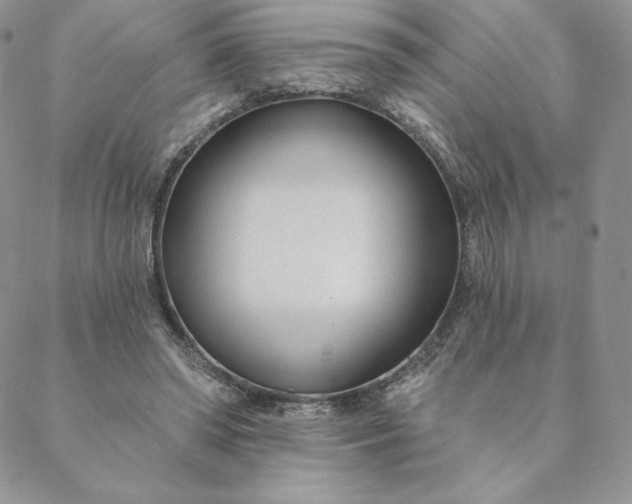 X0000088610398200706081439