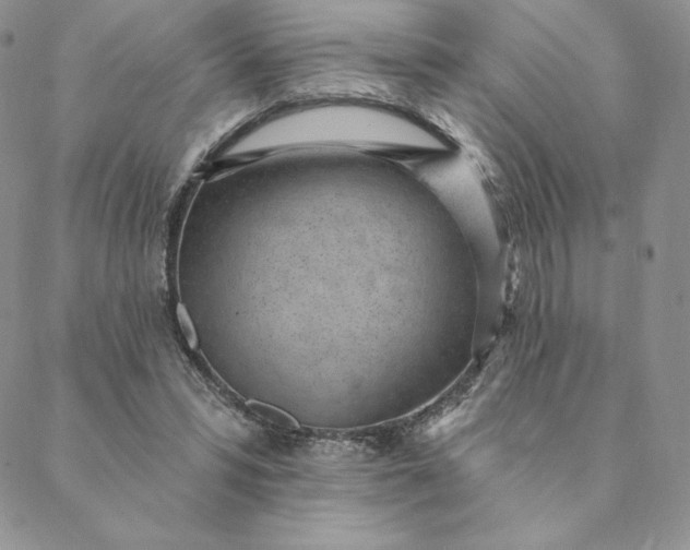 X0000088610399200706081439