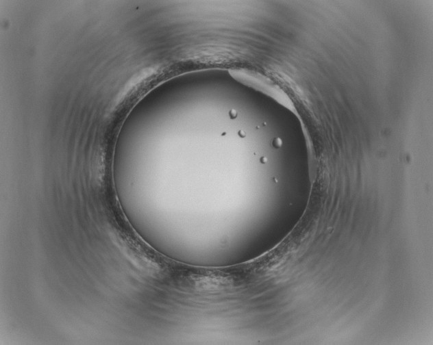 X0000088610400200706081439