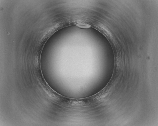 X0000088610401200706081439