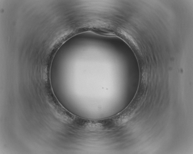 X0000088610403200706081439