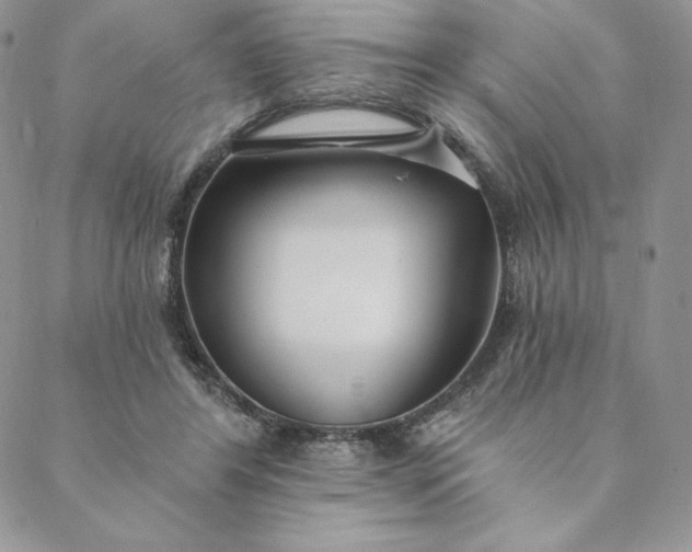 X0000088610404200706081439