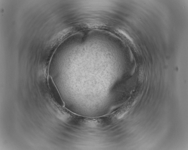 X0000088610405200706081439