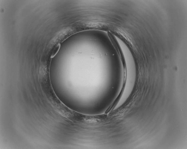 X0000088610407200706081439