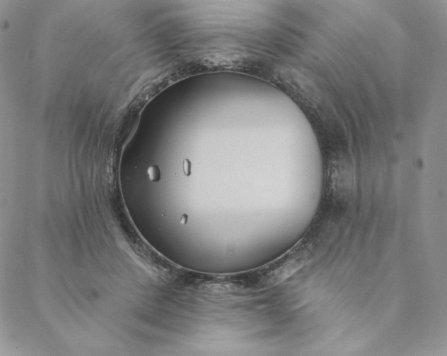 X0000088610408200706081439