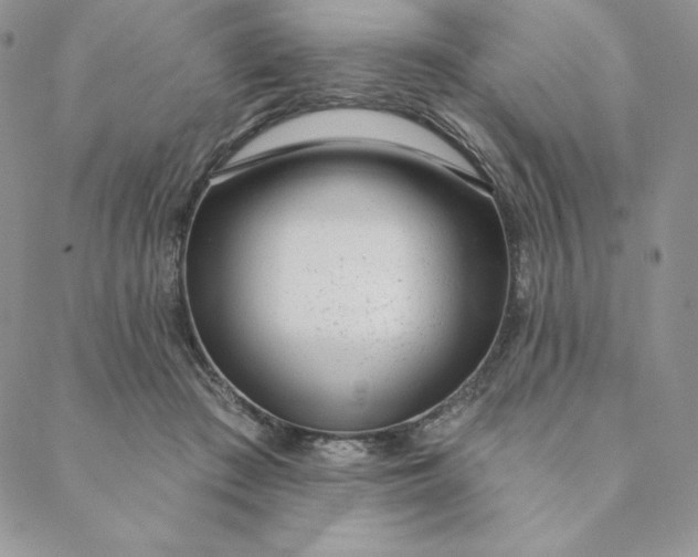 X0000088610409200706081439