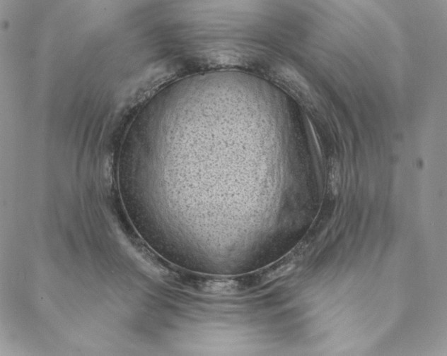 X0000088610410200706081439