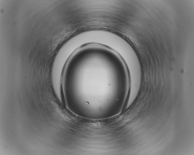 X0000088610411200706081439