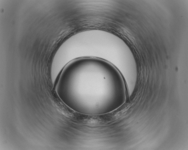 X0000088610412200706081439