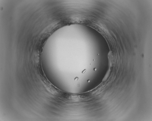 X0000088610413200706081439