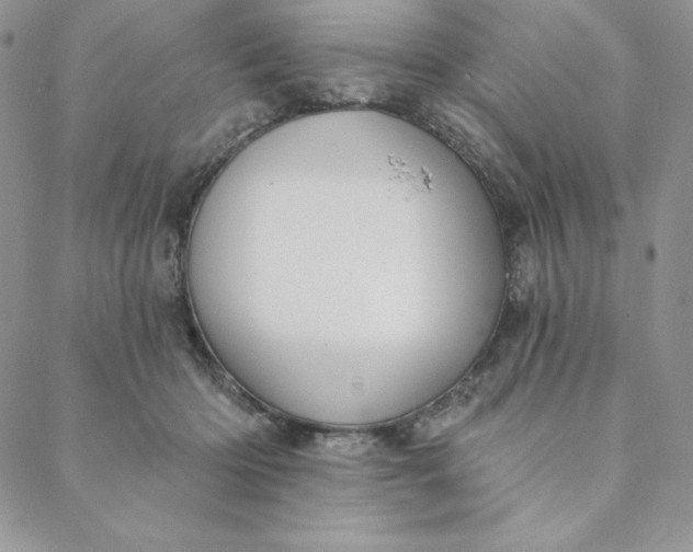 X0000088610414200706081439