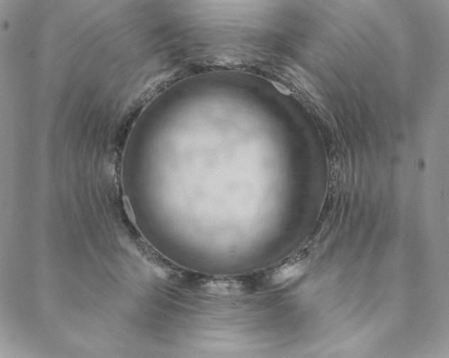 X0000088610415200706081439