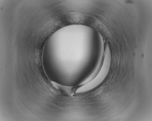 X0000088610416200706081439