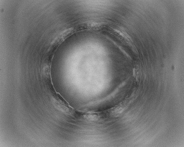 X0000088610419200706081439