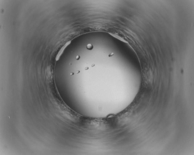 X0000088610420200706081439