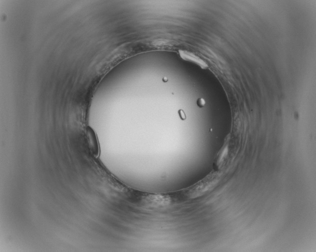 X0000088610421200706081439