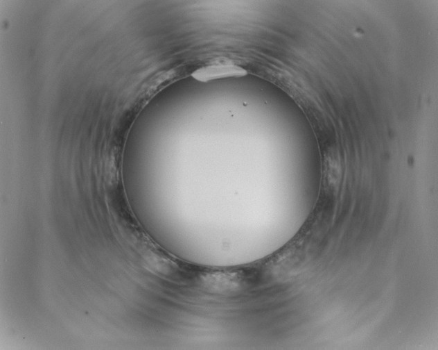 X0000088610422200706081439