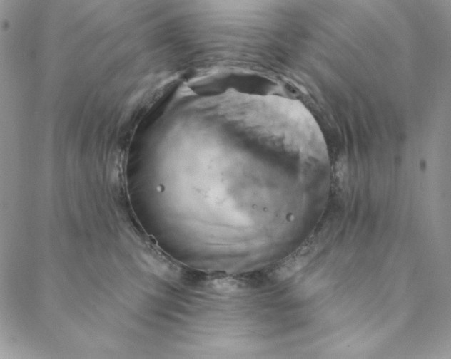 X0000088610423200706081439