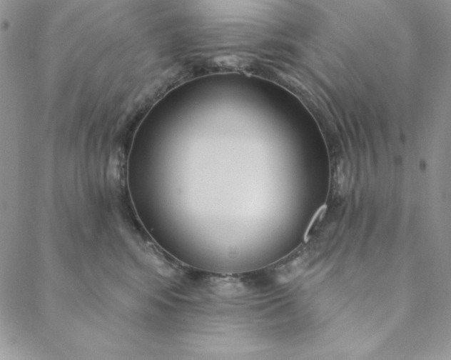 X0000088610424200706081439