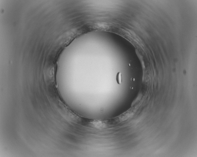 X0000088610425200706081439