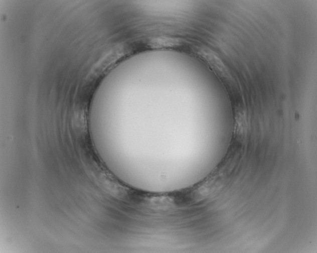 X0000088610426200706081439