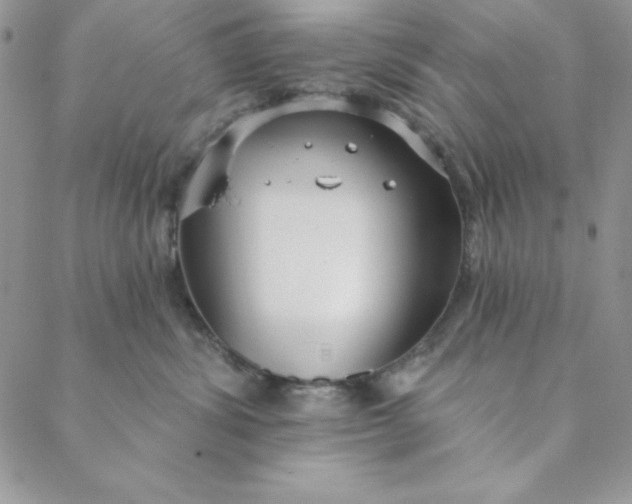 X0000088610428200706081439