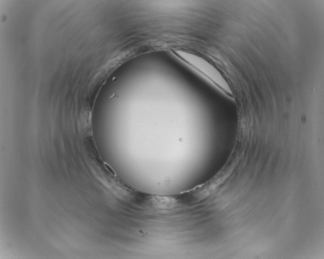 X0000088610429200706081439