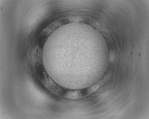 X0000088610431200706081439