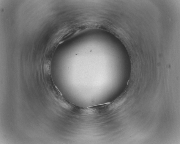 X0000088610432200706081439