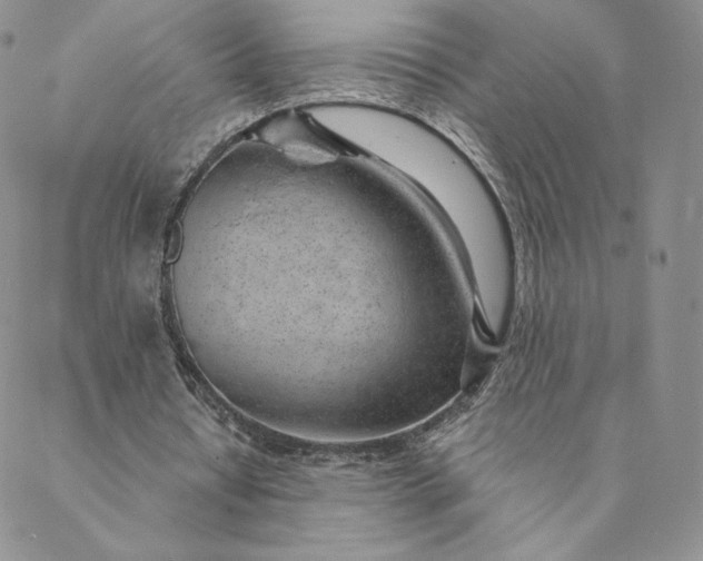 X0000088610434200706081438