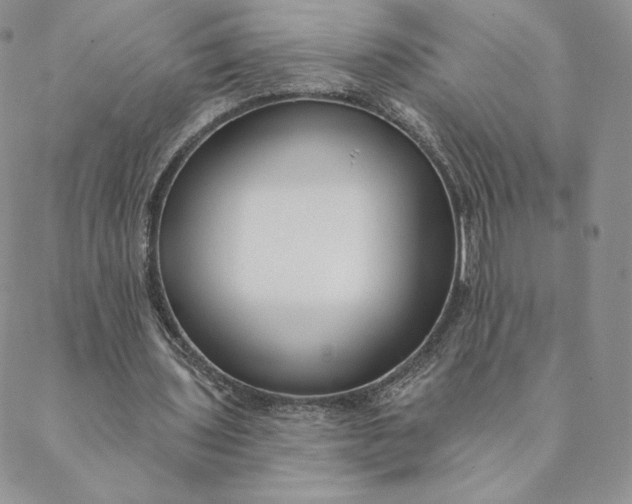 X0000088610435200706081438