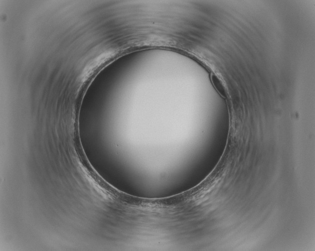 X0000088610437200706081438