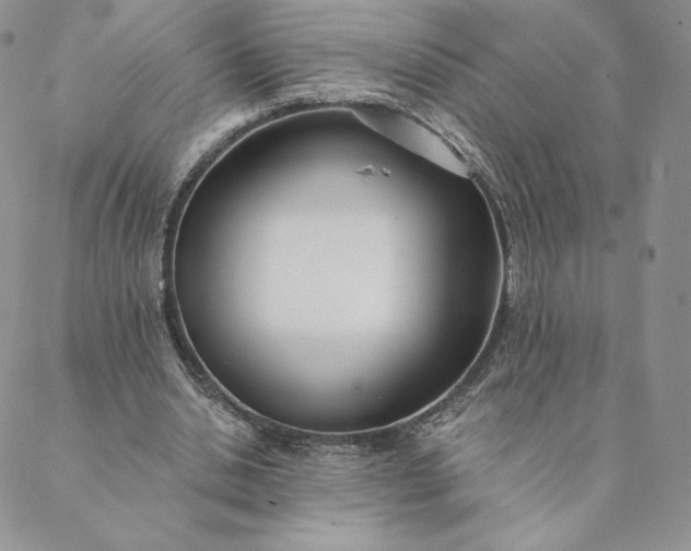 X0000088610438200706081438