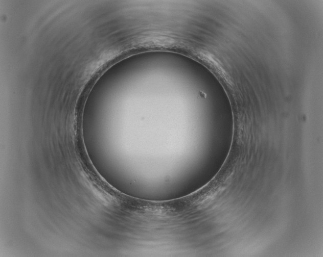 X0000088610439200706081438