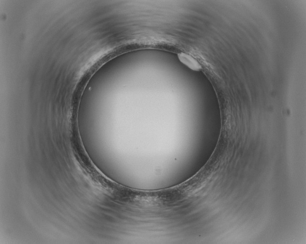 X0000088610440200706081438