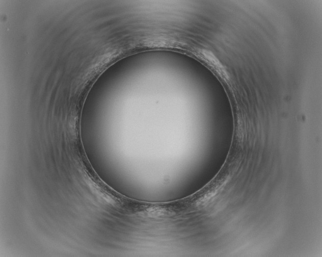 X0000088610441200706081438