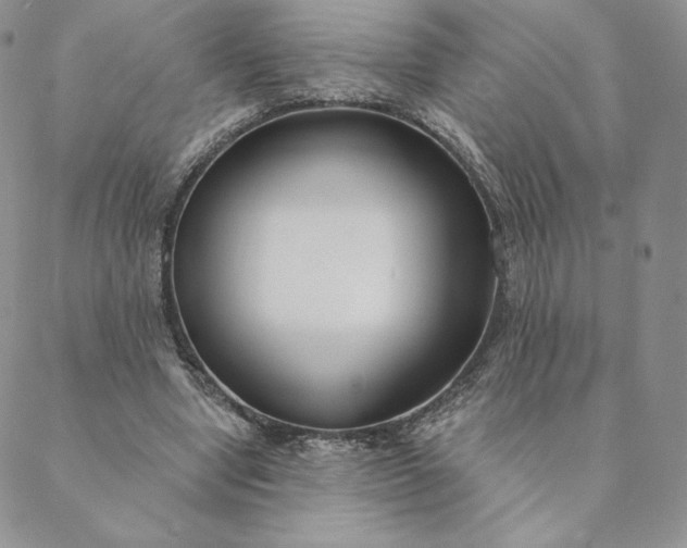 X0000088610442200706081438