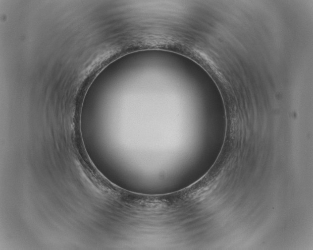 X0000088610443200706081438