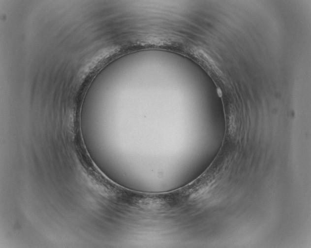 X0000088610444200706081438