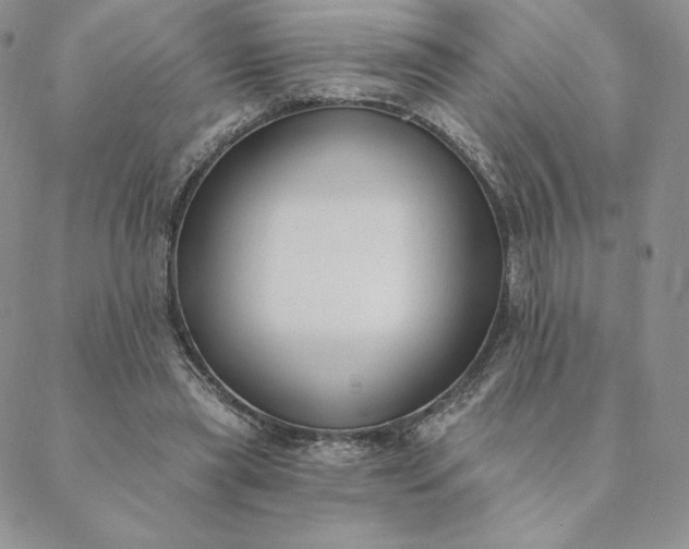 X0000088610445200706081438