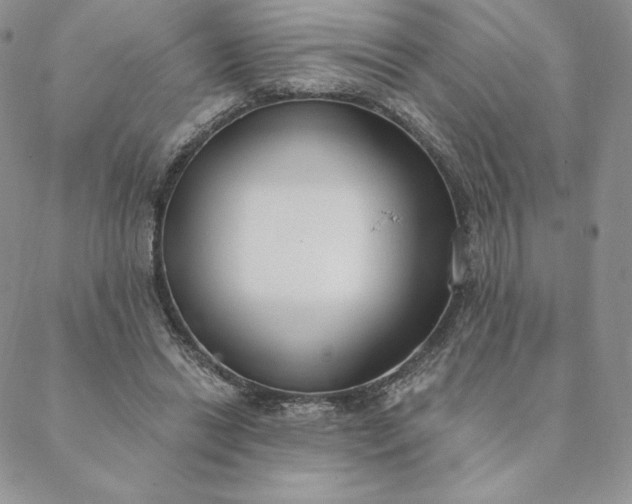 X0000088610446200706081438