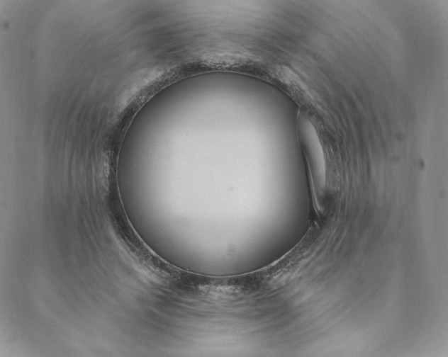 X0000088610448200706081438