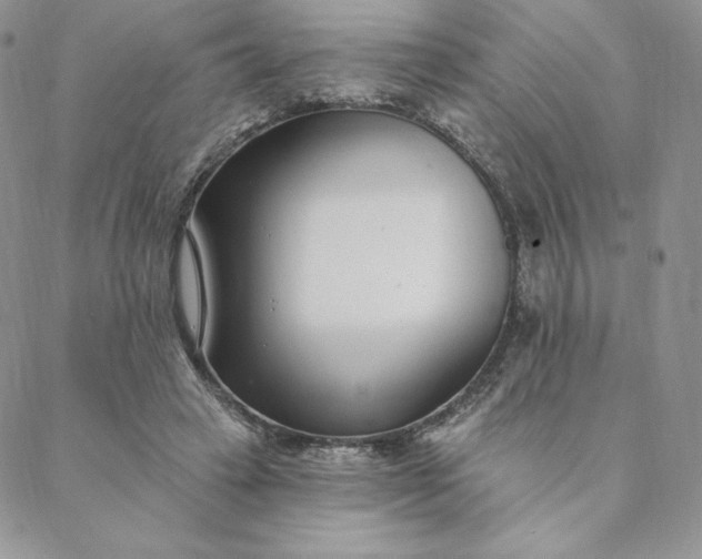 X0000088610449200706081438