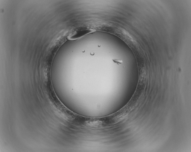 X0000088610452200706081438