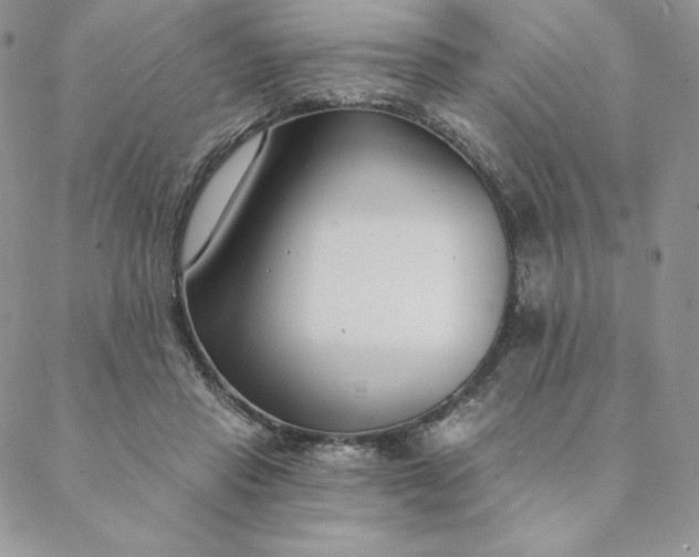 X0000088610453200706081438