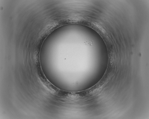 X0000088610455200706081438