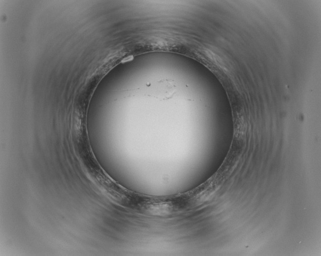 X0000088610456200706081438